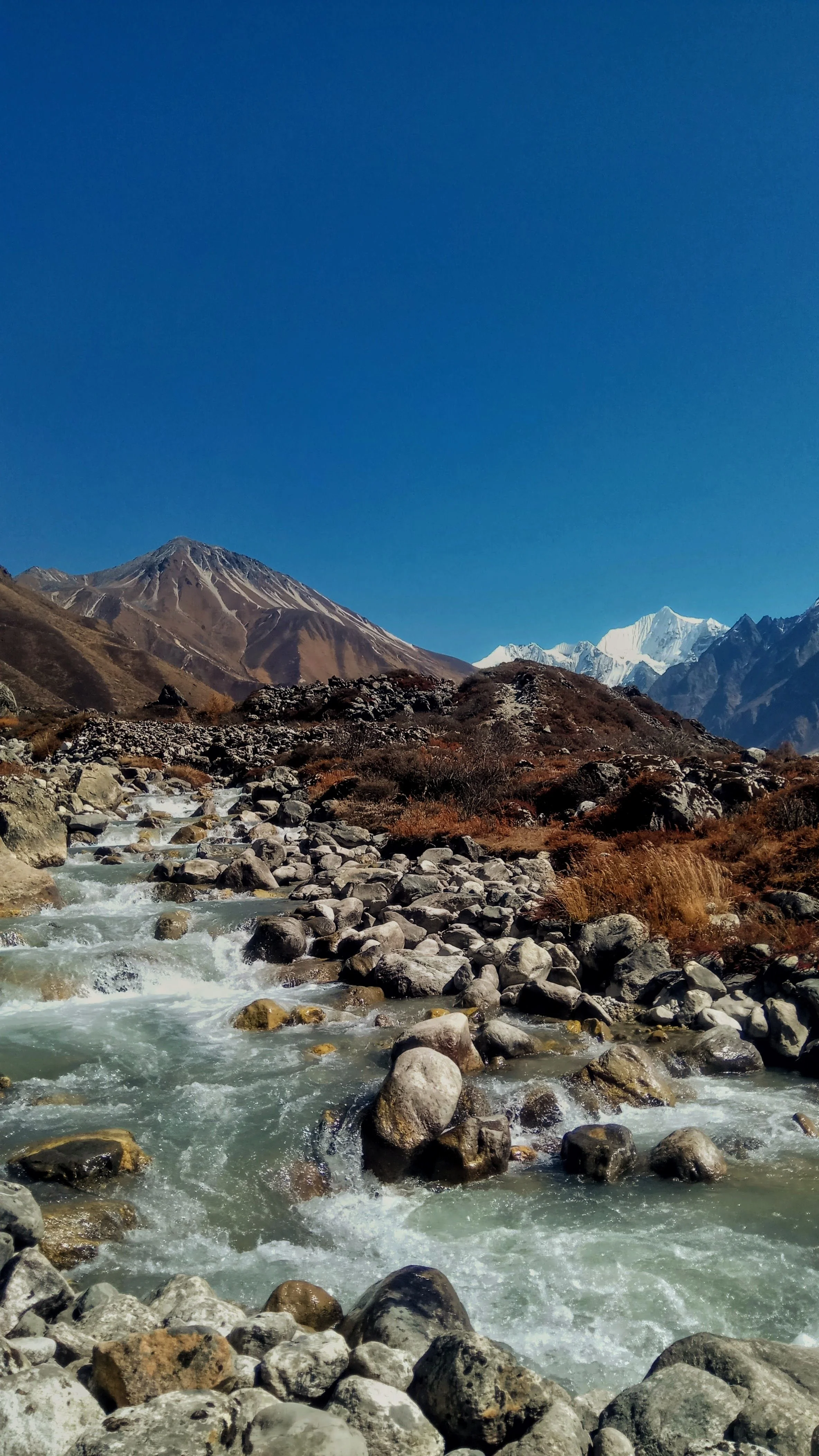 Langtang Valley Trek- 8 days Image 3
