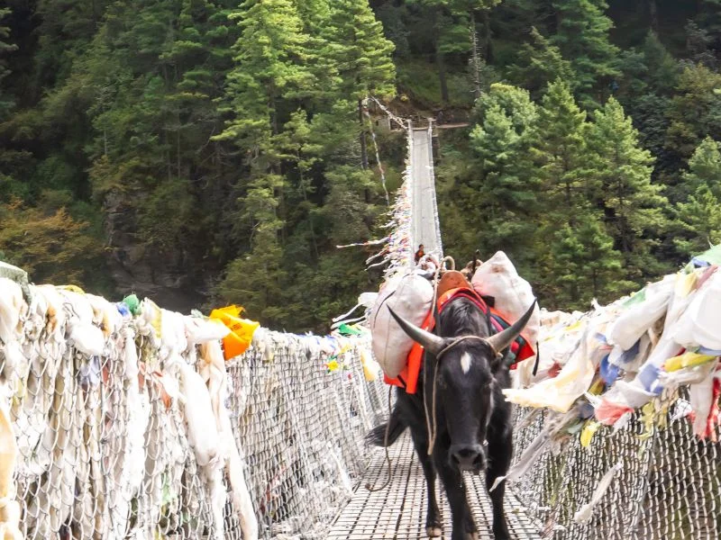 Tenzing hillary bridge