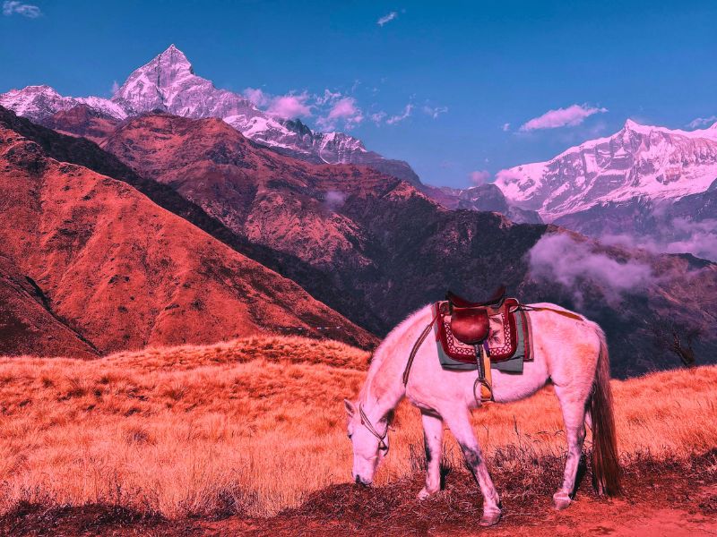 trekking