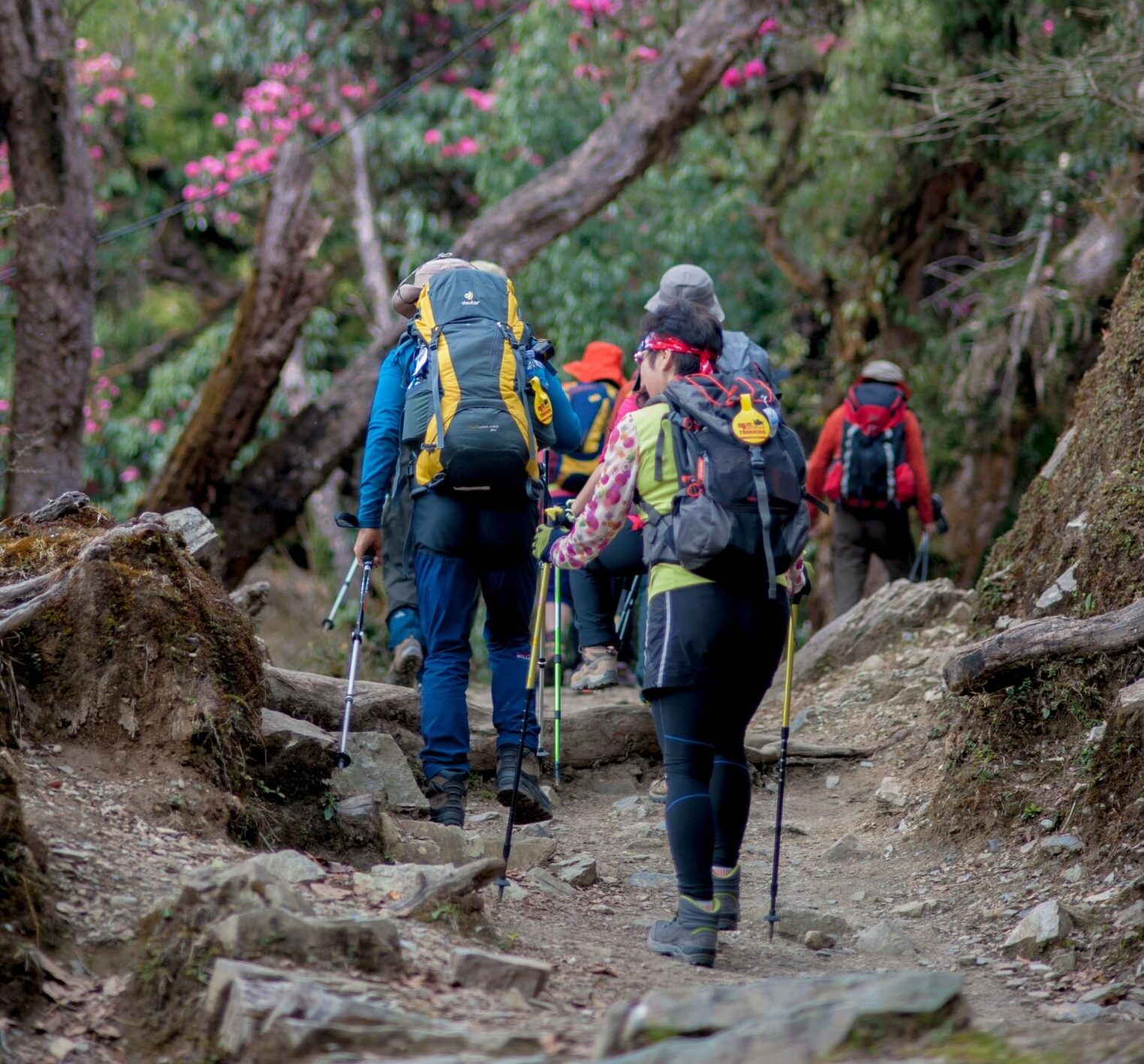 Short Hikes in Nepal
