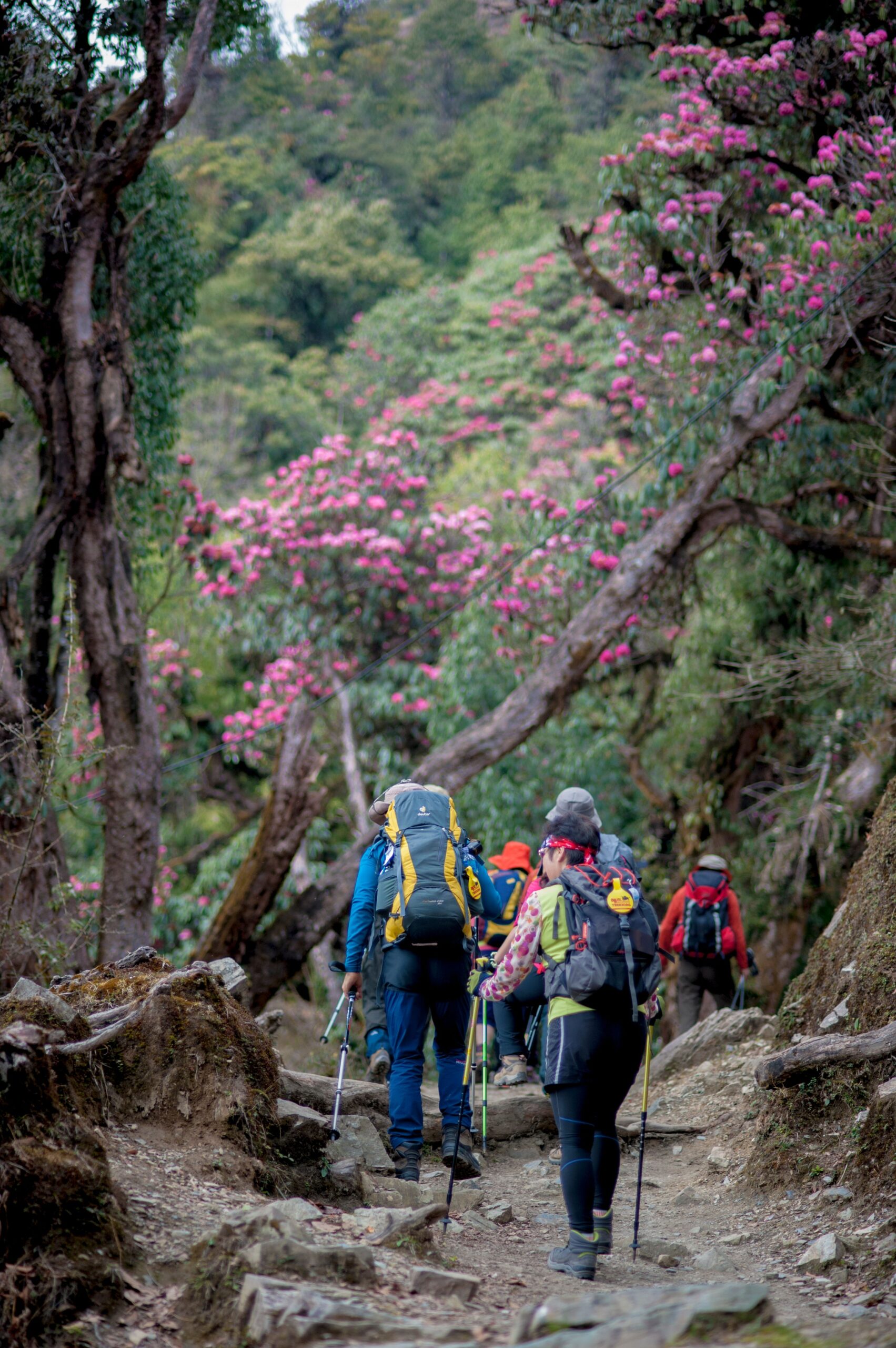 Short Hikes in Nepal